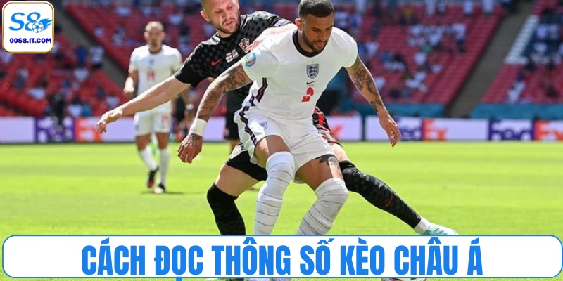 Cách đọc thông số kèo châu Á 