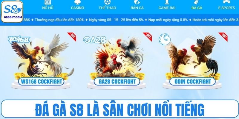 Đá gà S8 tập trung các chiến kê lừng danh