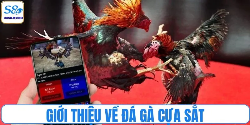Giới thiệu về đá gà cựa sắt