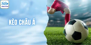 Kèo Châu Á - Trải Nghiệm Cá Cược Bóng Đá Hàng Đầu 2026