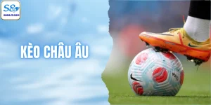 Kèo Châu Âu - Thể Loại Cược Bóng Đá Được Yêu Thích 2026
