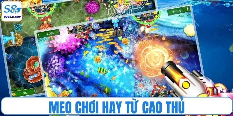 Mẹo chơi bắn cá săn xu vàng từ cao thủ