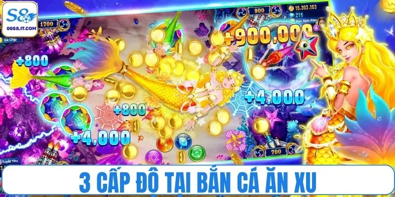 Săn xu đỉnh cao với 3 cấp độ từ người mới đến cao thủ
