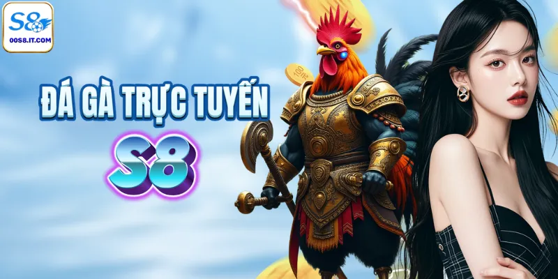 Thưởng thức đá gà trực tuyến kịch tính tại S8