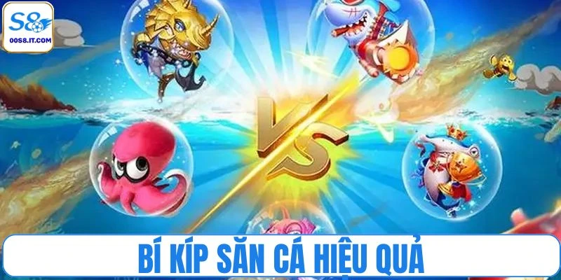 Vận dụng bí kíp săn cá hiệu quả